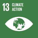 TheGlobalGoals Icons Color Goal 13 copy